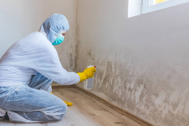 Bathroom Mold Removal assessment in Fort Worth bathroom